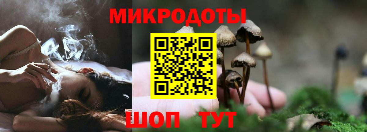 дарнет шоп  Псилоцибиновые грибы мухоморы  Вход с VPN  Видное 